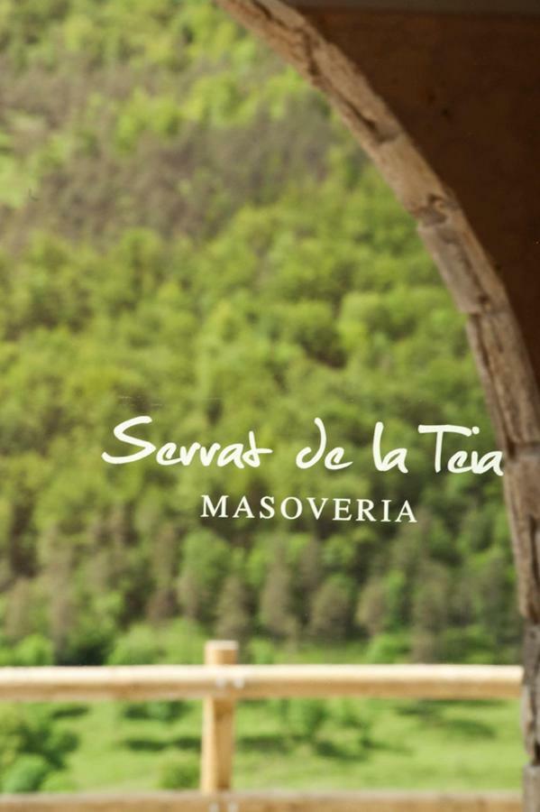 Mas Serrat De La Teia Sant Joan de les Abadesses Luaran gambar